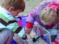 Engaging Parents With Young Children’s Play