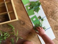 Three Ways to Encourage Early Learning Outdoors
