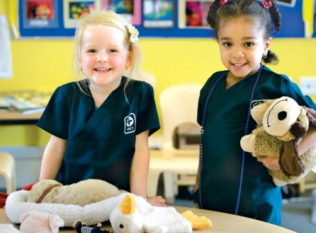 Early Years Topic: The Vets