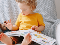 BRIDGE approach to reading – Explore, communicate, reflect