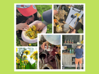 Childminders – Why we’re not ‘just babysitters’