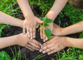 Climate change in Early Years – Why and how to teach it