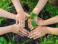 Climate change in Early Years – Why and how to teach it