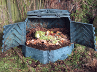 Eco-friendly nursery – Training staff to create a sustainable setting