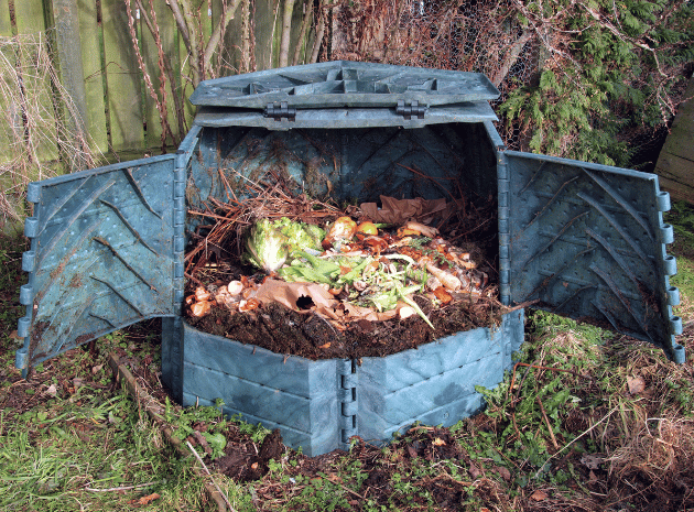 Eco-friendly nursery – Training staff to create a sustainable setting