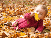 Forest school activities for babies – Why they’re so beneficial
