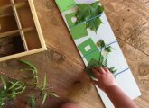 Three Ways to Encourage Early Learning Outdoors