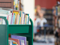 Library visit – A free adventure in learning and literacy