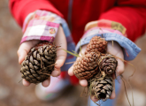 Loose parts play – Unleashing children’s creativity