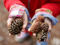 Loose parts play – Unleashing children’s creativity