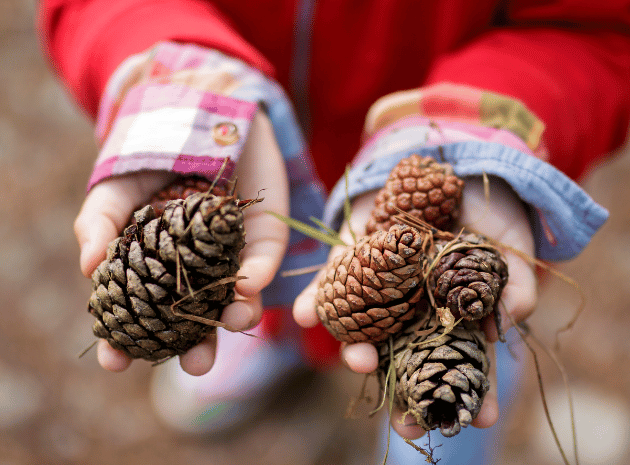 Loose parts play – Unleashing children’s creativity