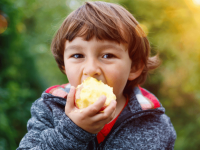 Nursery snack ideas – Healthy options to try in your setting