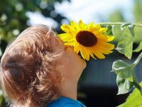 Understanding Non-Dairy Proteins in the Early Years