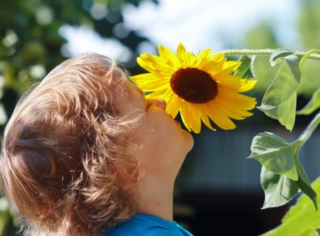 Understanding Non-Dairy Proteins in the Early Years