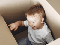 Patterns of behaviour – What schemas reveal about learning