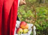 Traditional tales EYFS – What kids can learn from them