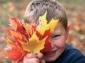 Outdoor Learning: Autumn