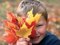 Outdoor Learning: Autumn