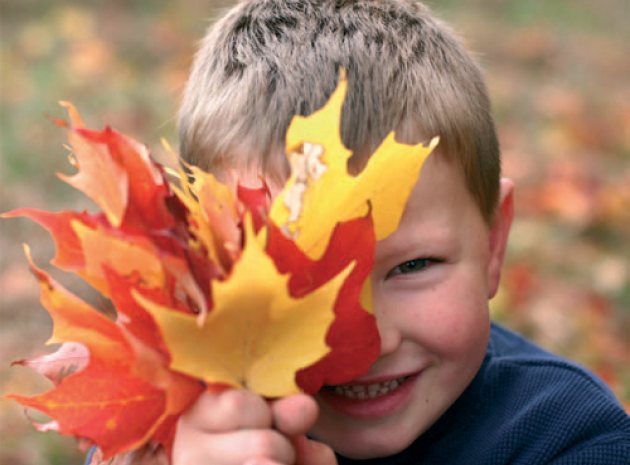 Outdoor Learning: Autumn