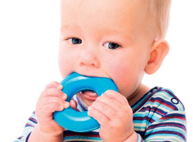 Early teethers on sale