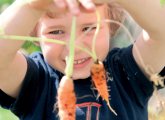 What Children Can Learn From a Growing Garden