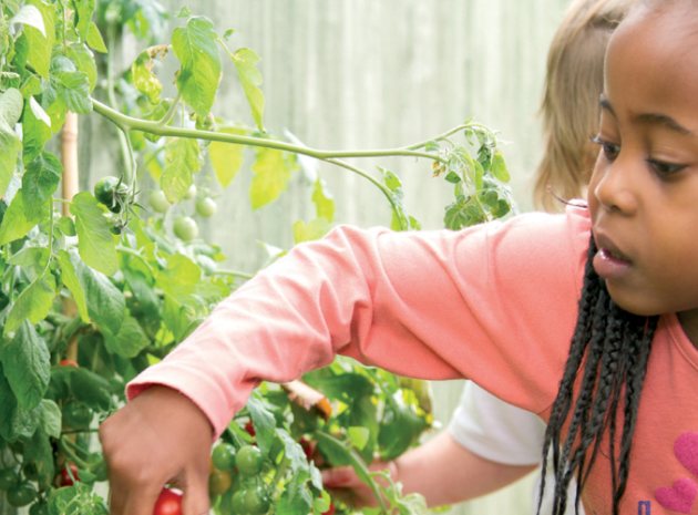 What Children Can Learn From a Growing Garden