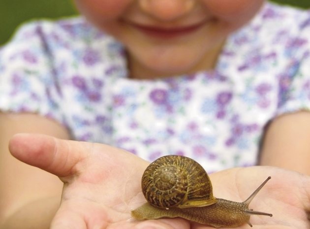 Early Years Outdoor Activities for Summer