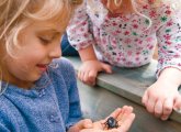 Early Years Science Activities for the Great Outdoors