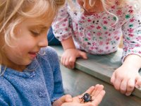 Early Years Science Activities for the Great Outdoors