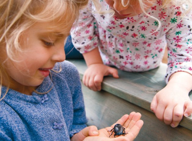 Early Years Science Activities for the Great Outdoors