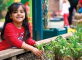 Early years outdoor resources – Planning for outdoor learning
