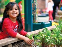 Early years outdoor resources – Planning for outdoor learning