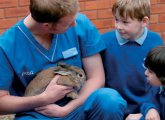 Early Years Topic: The Vets