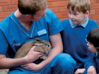 Vet role play – Try this Early Years topic in your setting