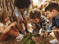 Eco activities for your early years setting
