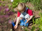 8 ways to help kids to care for the environment