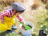 Gross motor skills – supporting physical development through outdoor play