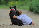 Could a Dog Enhance Your Early Years Provision?
