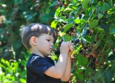 Understanding sugar in the early years