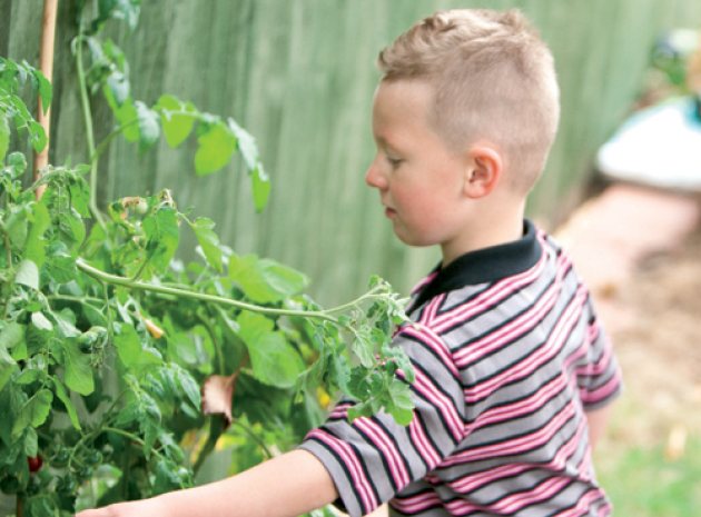 What Children Can Learn From a Growing Garden