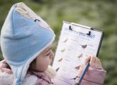 Have Fun Counting Wildlife with the RSPB and Twirlywoos