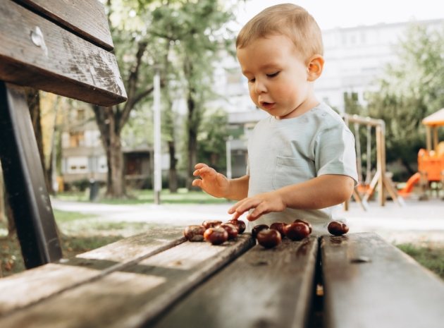 Transform early maths practice with the Maths Champions programme