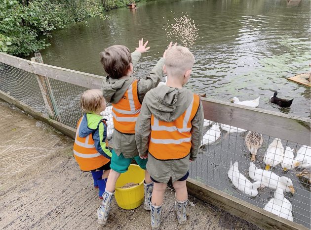 School trip ideas – Get out of the classroom and visit Godstone Farm in Surrey