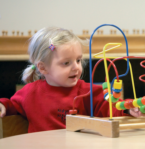 Outstanding Practice at Maynard Montessori