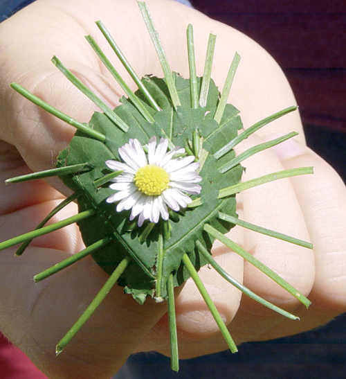 Why Young Children Need Wild Play