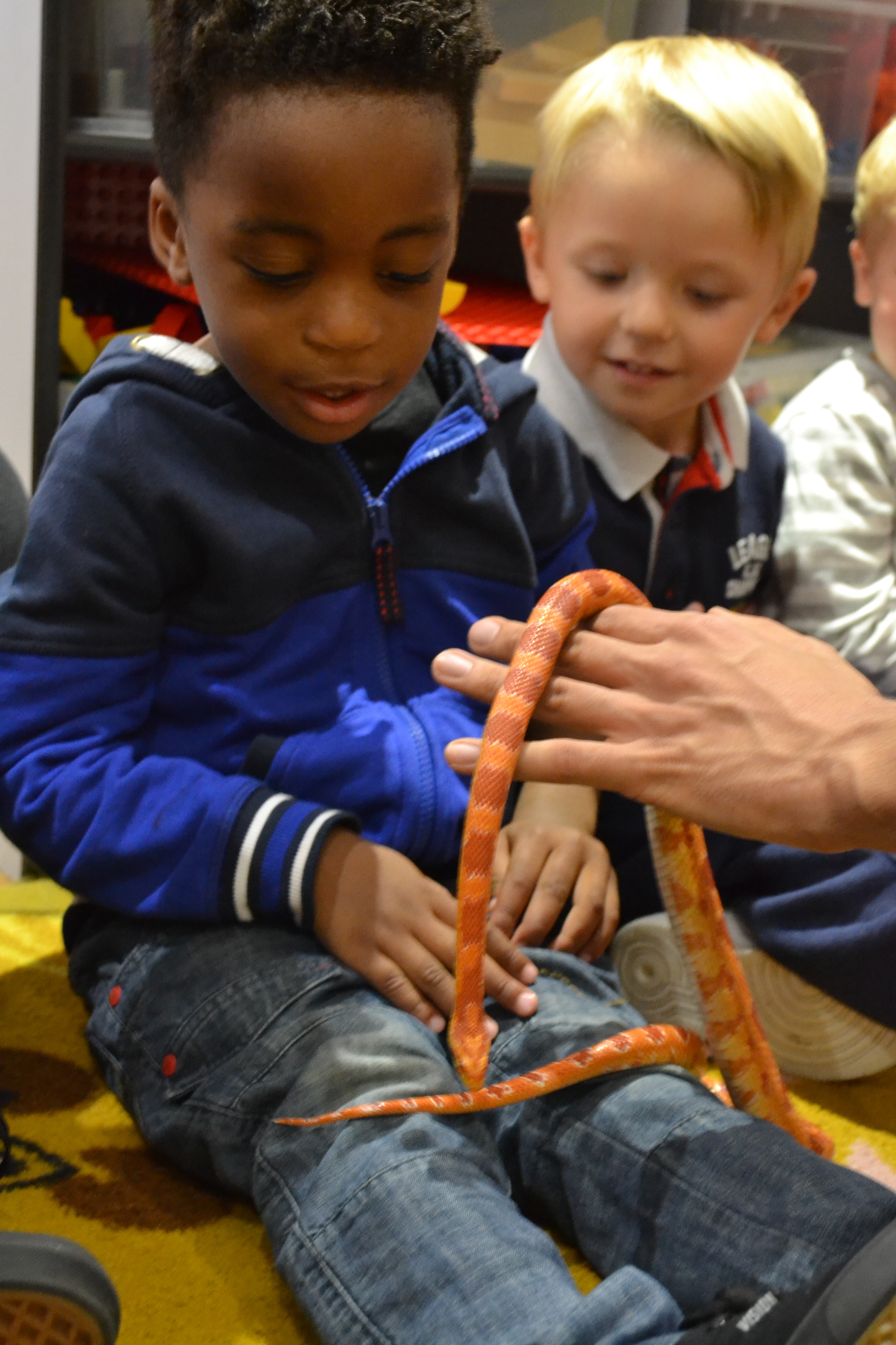 Live Animal Encounters