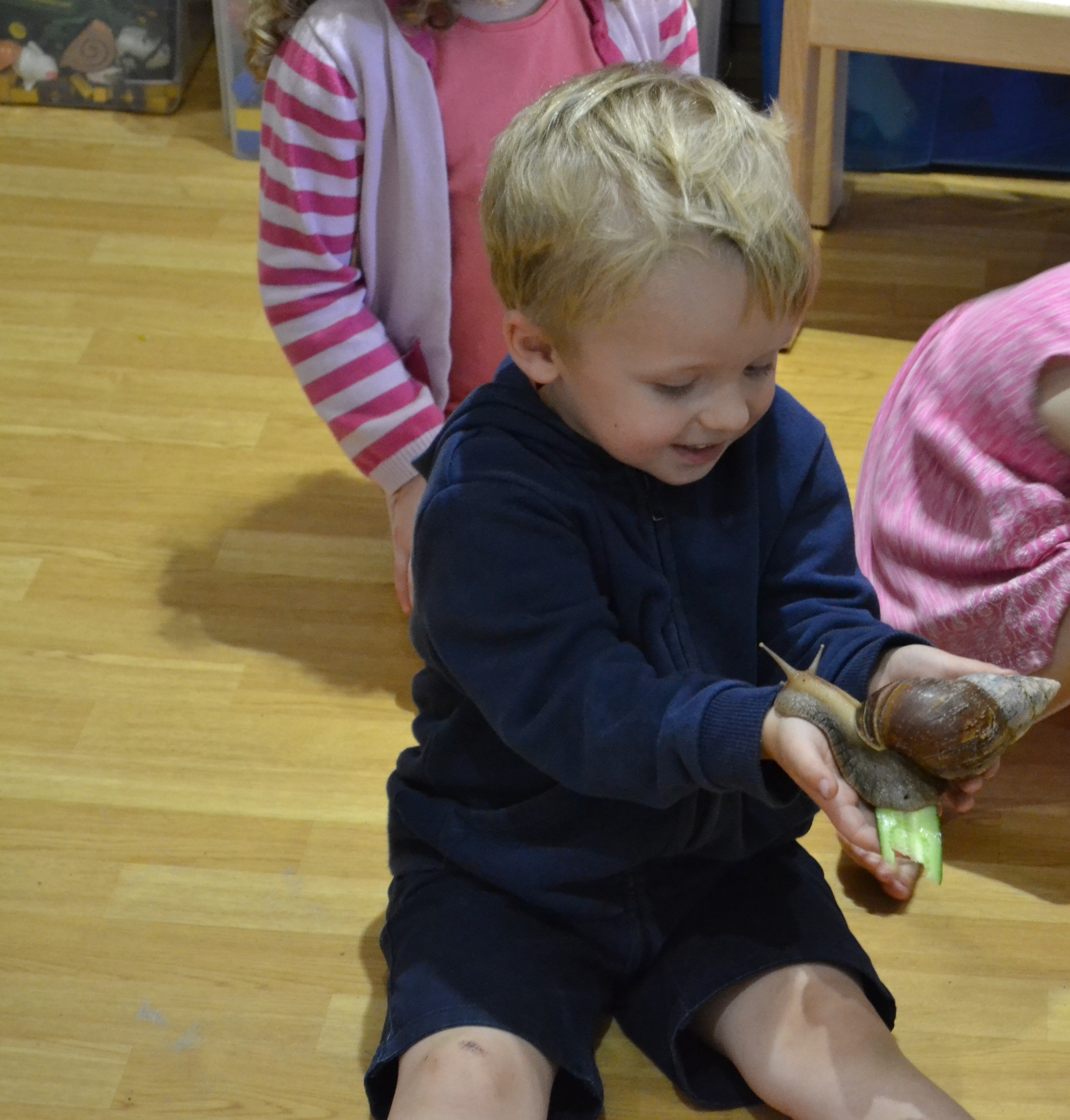 Live Animal Encounters