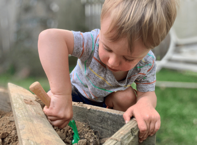 EYFS science – How to link it to KS1 learning
