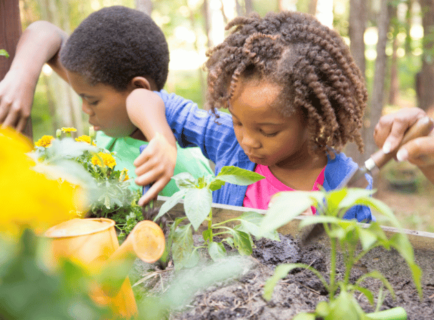 Gardening with children – What kids can learn