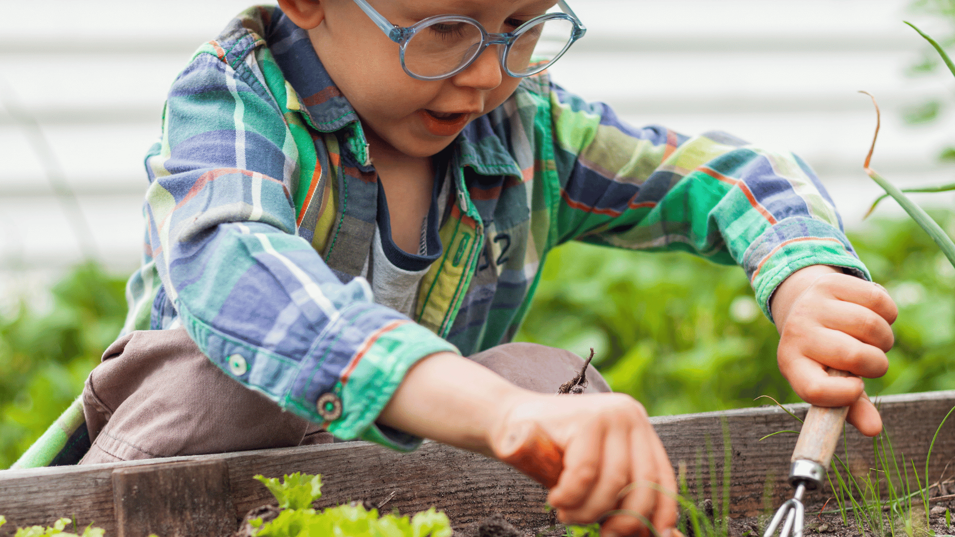 Gardening with children – Autumn activities to nurture bodies & minds ...